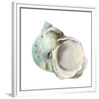 Pearl Shell-Aimee Wilson-Framed Premium Giclee Print