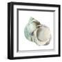 Pearl Shell-Aimee Wilson-Framed Art Print