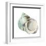 Pearl Shell-Aimee Wilson-Framed Art Print