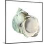 Pearl Shell-Aimee Wilson-Mounted Premium Giclee Print