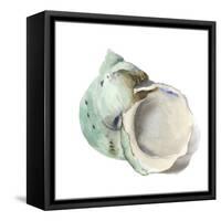 Pearl Shell-Aimee Wilson-Framed Stretched Canvas