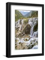 Pearl Shoal Waterfall (Zhenzhu Tan), Jiuzhaigou National Park, Sichuan, China-Peter Adams-Framed Photographic Print