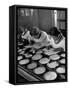 Pearl Sorters at Work Categorizing According to Size at Factory-Alfred Eisenstaedt-Framed Stretched Canvas