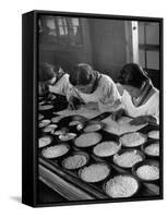 Pearl Sorters at Work Categorizing According to Size at Factory-Alfred Eisenstaedt-Framed Stretched Canvas