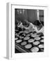 Pearl Sorters at Work Categorizing According to Size at Factory-Alfred Eisenstaedt-Framed Photographic Print