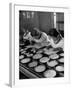 Pearl Sorters at Work Categorizing According to Size at Factory-Alfred Eisenstaedt-Framed Photographic Print