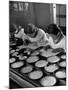 Pearl Sorters at Work Categorizing According to Size at Factory-Alfred Eisenstaedt-Mounted Photographic Print