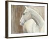 Pearl-Albena Hristova-Framed Art Print