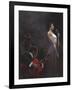 Pearlescent Diva-Brent Lynch-Framed Art Print