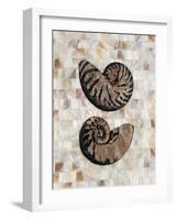 Pearlized Nautilus-Regina-Andrew Design-Framed Art Print