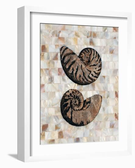 Pearlized Nautilus-Regina-Andrew Design-Framed Art Print