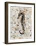 Pearlized Seahorse-Regina-Andrew Design-Framed Art Print