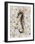 Pearlized Seahorse-Regina-Andrew Design-Framed Art Print