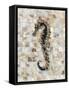 Pearlized Seahorse-Regina-Andrew Design-Framed Stretched Canvas