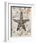 Pearlized Starfish-Regina-Andrew Design-Framed Art Print
