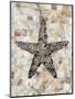Pearlized Starfish-Regina-Andrew Design-Mounted Art Print