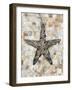 Pearlized Starfish-Regina-Andrew Design-Framed Art Print