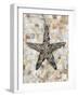 Pearlized Starfish-Regina-Andrew Design-Framed Art Print