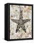 Pearlized Starfish-Regina-Andrew Design-Framed Stretched Canvas