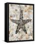 Pearlized Starfish-Regina-Andrew Design-Framed Stretched Canvas