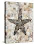 Pearlized Starfish-Regina-Andrew Design-Stretched Canvas