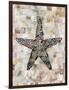 Pearlized Starfish-Regina-Andrew Design-Framed Premium Giclee Print