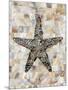 Pearlized Starfish-Regina-Andrew Design-Mounted Premium Giclee Print