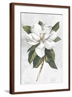 Pearly Beauty I-Eva Watts-Framed Art Print