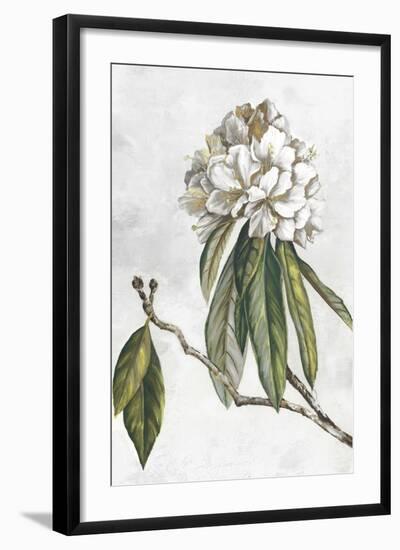 Pearly Beauty II-Eva Watts-Framed Art Print