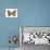 Pearly-Eye Butterfly (Lethe Portlandia), Insects-Encyclopaedia Britannica-Poster displayed on a wall