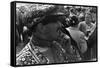 Pearly King-null-Framed Stretched Canvas