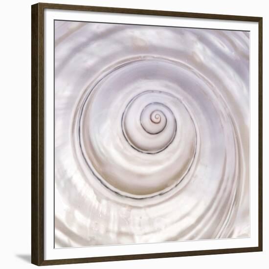 Pearly Shell-Mark Goodall-Framed Premium Giclee Print