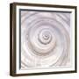 Pearly Shell-Mark Goodall-Framed Art Print