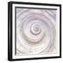 Pearly Shell-Mark Goodall-Framed Art Print