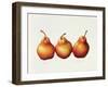 Pears, 2000-Annabel Barrett-Framed Giclee Print