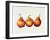 Pears, 2000-Annabel Barrett-Framed Giclee Print