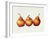 Pears, 2000-Annabel Barrett-Framed Giclee Print
