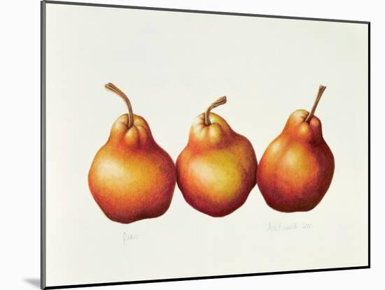 Pears, 2000-Annabel Barrett-Mounted Giclee Print