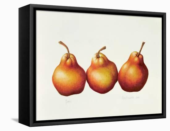 Pears, 2000-Annabel Barrett-Framed Stretched Canvas