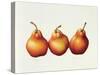 Pears, 2000-Annabel Barrett-Stretched Canvas