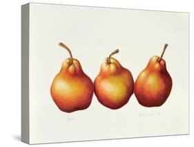 Pears, 2000-Annabel Barrett-Stretched Canvas