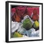 Pears, 2002-Pedro Diego Alvarado-Framed Giclee Print