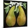 Pears, 2013-Jennifer Abbott-Mounted Giclee Print