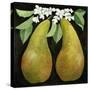 Pears, 2013-Jennifer Abbott-Stretched Canvas