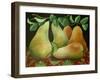 Pears, 2014-Jennifer Abbott-Framed Giclee Print