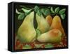 Pears, 2014-Jennifer Abbott-Framed Stretched Canvas