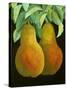 Pears, 2014-Jennifer Abbott-Stretched Canvas