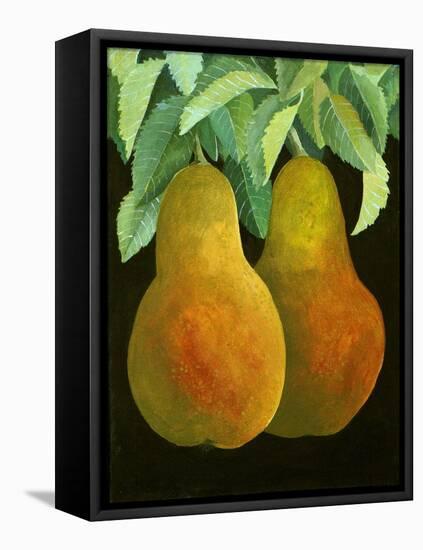 Pears, 2014-Jennifer Abbott-Framed Stretched Canvas