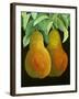 Pears, 2014-Jennifer Abbott-Framed Giclee Print