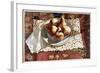 Pears in a Bowl on an Oriental Rug-Helen J. Vaughn-Framed Giclee Print